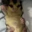 Sのプロフィール画像