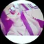 ネガちゃんのプロフィール画像
