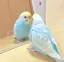 kのプロフィール画像