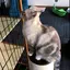 へじのプロフィール画像
