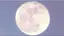 らららのプロフィール画像