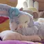 lilyのプロフィール画像