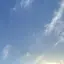 Shuのプロフィール画像