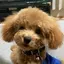 えみちんのプロフィール画像