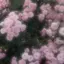 nachanのプロフィール画像