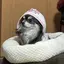 こーののプロフィール画像