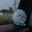 サヤのプロフィール画像