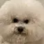 d0nu2のプロフィール画像