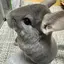 美春のプロフィール画像