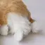 aのプロフィール画像