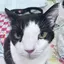 みるのプロフィール画像