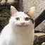 mariのプロフィール画像