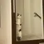 shiuのプロフィール画像