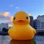 ririのプロフィール画像