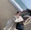たぬきのプロフィール画像