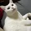 ゆーのプロフィール画像