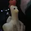 Fのプロフィール画像