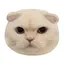 はるのプロフィール画像