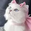 chopiのプロフィール画像