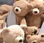 こんにゃくのプロフィール画像
