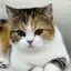 はんのプロフィール画像