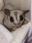 愛香のプロフィール画像
