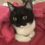 akaneのプロフィール画像