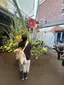 沙希のプロフィール画像