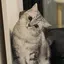 MINAのプロフィール画像