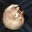 あきのプロフィール画像