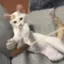 ててのプロフィール画像