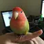 Camilaのプロフィール画像