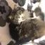 himekaのプロフィール画像