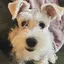 ナナのプロフィール画像