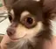 りんのプロフィール画像