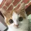 なまのプロフィール画像