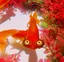 まっちゃんのプロフィール画像