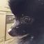 月うさぎのプロフィール画像