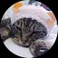 沙也佳のプロフィール画像