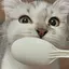 さのプロフィール画像