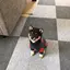ありさのプロフィール画像