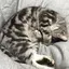 ☆えみ☆のプロフィール画像