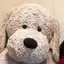 akaneのプロフィール画像