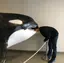 takaのプロフィール画像