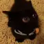 ゆ!のプロフィール画像
