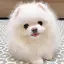 bucのプロフィール画像