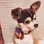 彩奈のプロフィール画像