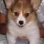 あやのプロフィール画像