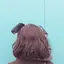 あめのプロフィール画像
