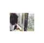 もっちゅのプロフィール画像
